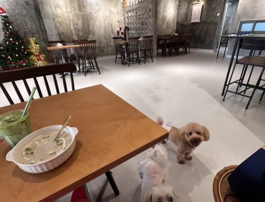 C’est La Vie Café • Puchong