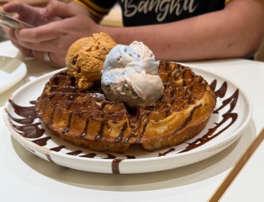 Inside Scoop Eco Grandeur