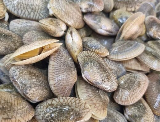 Restoran Soon Sing • 268 顺成茶餐室