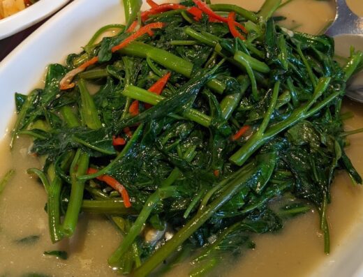 Namasthe Vegetarian Restaurant | Botanic