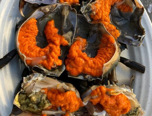 Starry Sky Marina Hotpot | 星空码头豚骨火锅